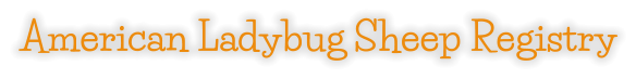 American Ladybug Sheep Registry